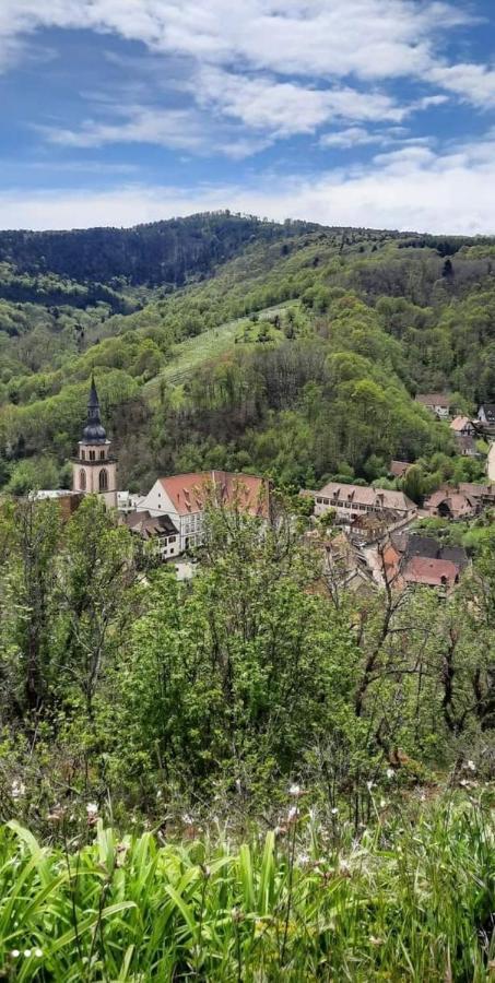 Gite A Andlau Dış mekan fotoğraf