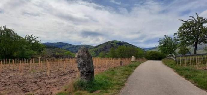Gite A Andlau Dış mekan fotoğraf